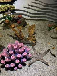 Aquaria Phuket อะควาเรียมมาตรฐานสากล