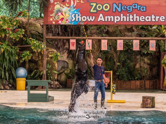 Zoo Negara@Kuala Lumpur, Malaysia