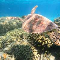 Serene Lombok and Party scenes at Gili
