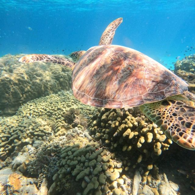 Serene Lombok and Party scenes at Gili