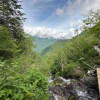 【山梨】いざ夏山へ！広河原から白根御池までの登山道