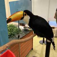 可愛い動物たちと出会う場所→ソラマチにある