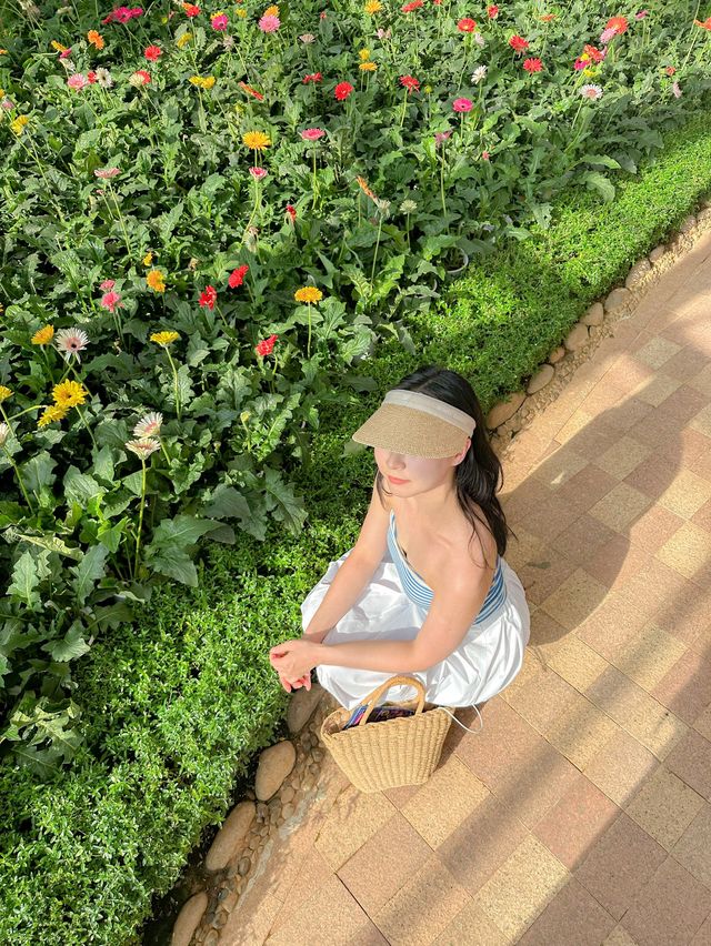 빈원더스 나트랑 꿀팁 : 식물원에서 쉬어가기🌺🌬️