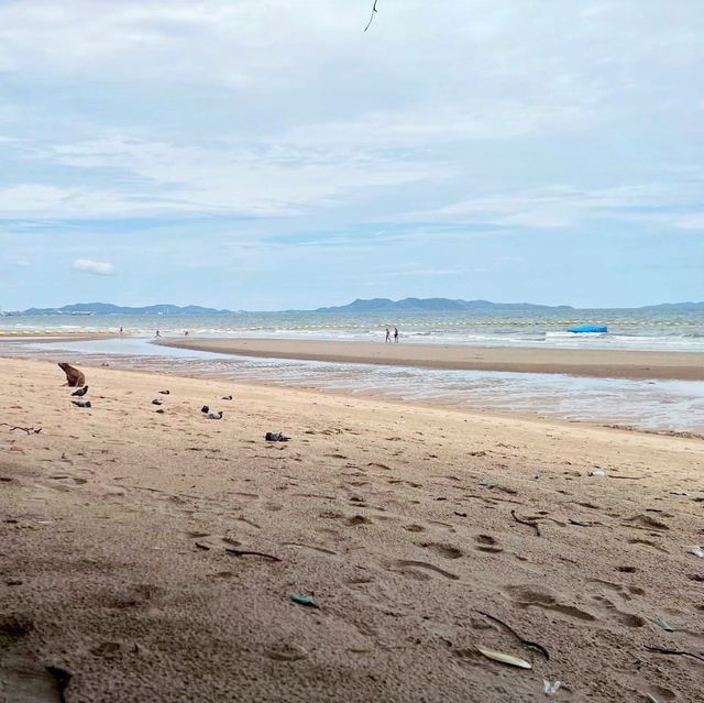 หาดจอมเทียน ชลบุรี🏖️🏖️