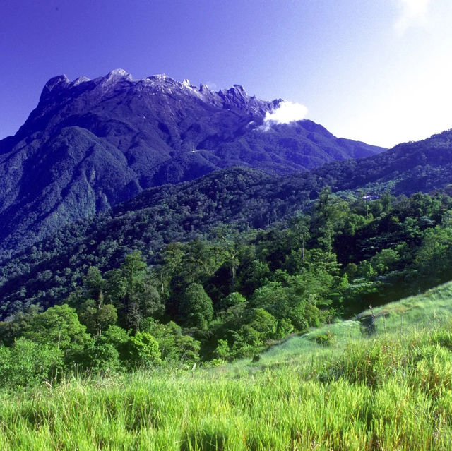 Kinabalu Park: Borneo's Ecological Jewel