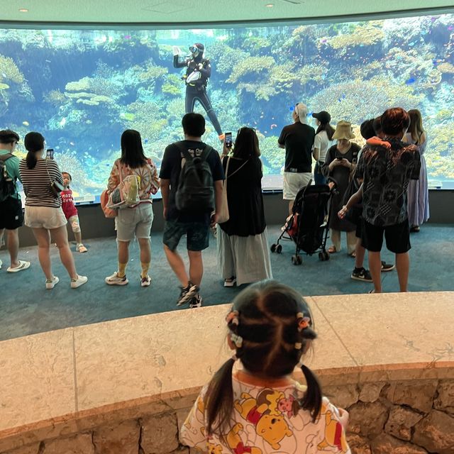 美麗海水族館～真的很美麗