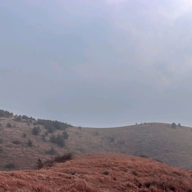 제주도 바람을 여기서 다느꼈다