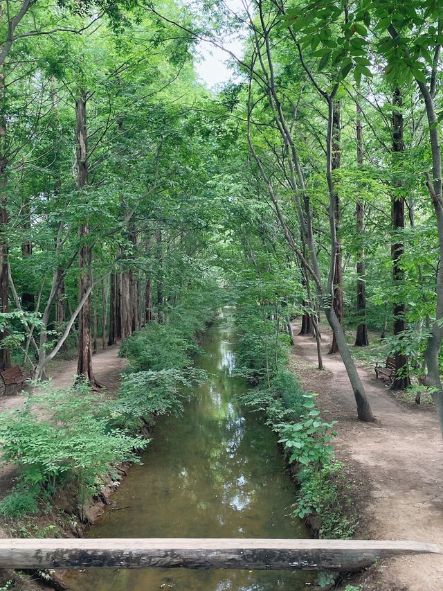 힐링되는 공간 “경주 산림환경연구원” 천년의 숲