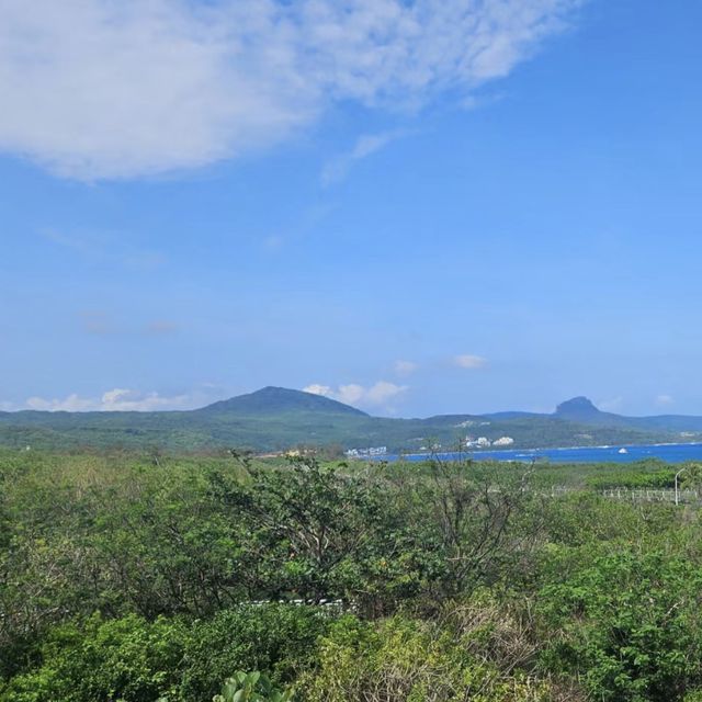 🌊🐠 台灣海洋生物博物館─海洋奇觀樂園 🌊🐠