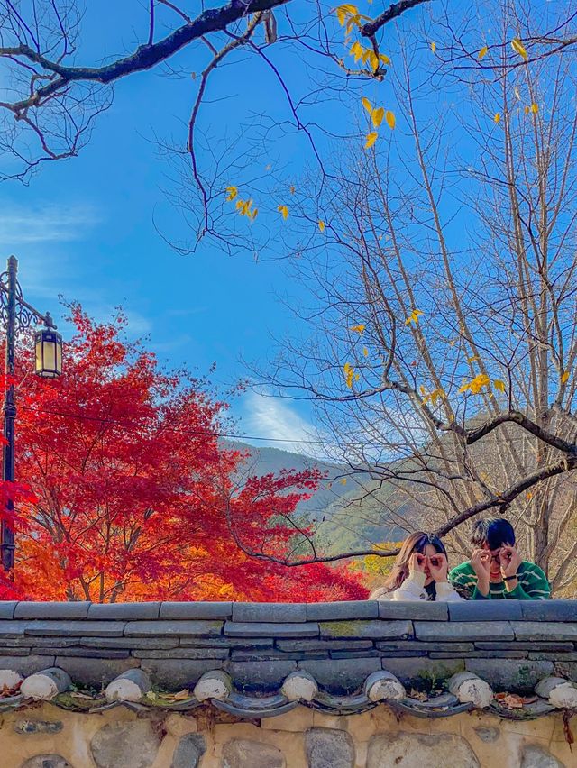 경상도 단풍명소 추천, 청도 운문사