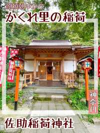 【神奈川県/佐助稲荷神社】かくれ里の稲荷