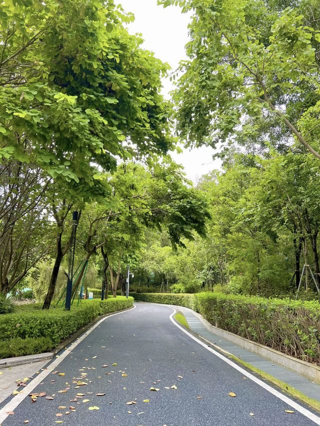 大運自然公園～與水鴨共度野餐樂趣🌳🦆🧺