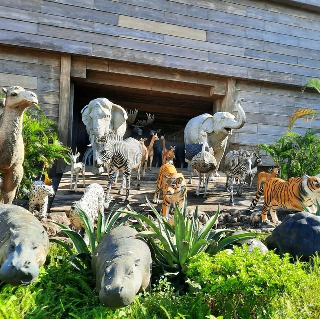 Care for Animals like Noah's did🦒