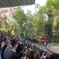 “Safari World” ซาฟารีครั้งเดียวไม่เคยพอ🌳