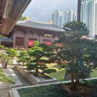 珍石展覽！大雄殿，觀音殿，藥師佛殿環立！氣象千字萬宙！