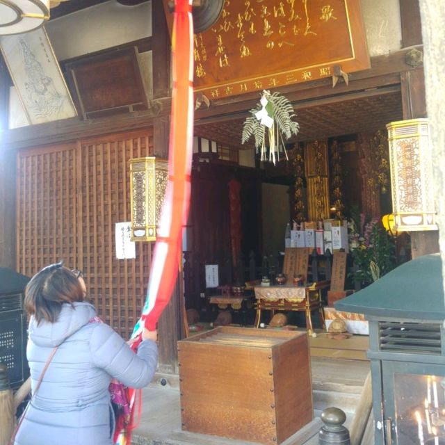 奈良國寶古寺【興福寺】