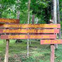 น้ำตกธารโต เล่นน้ำ ชมธรรมชาติ