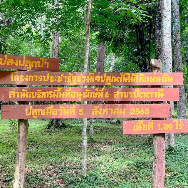 น้ำตกธารโต เล่นน้ำ ชมธรรมชาติ
