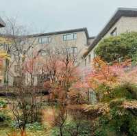 箱根溫泉旅館性價比兼驚喜之選