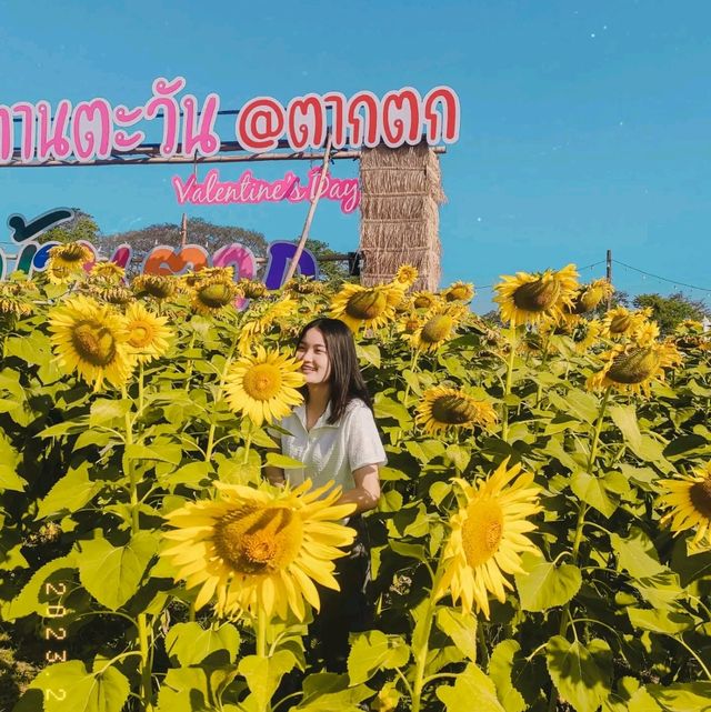 บ้านตาก