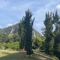 ไปทะเล ไปภูเขา แล้วไปบ้านเราได้ยัง ⛰️🌳🍃