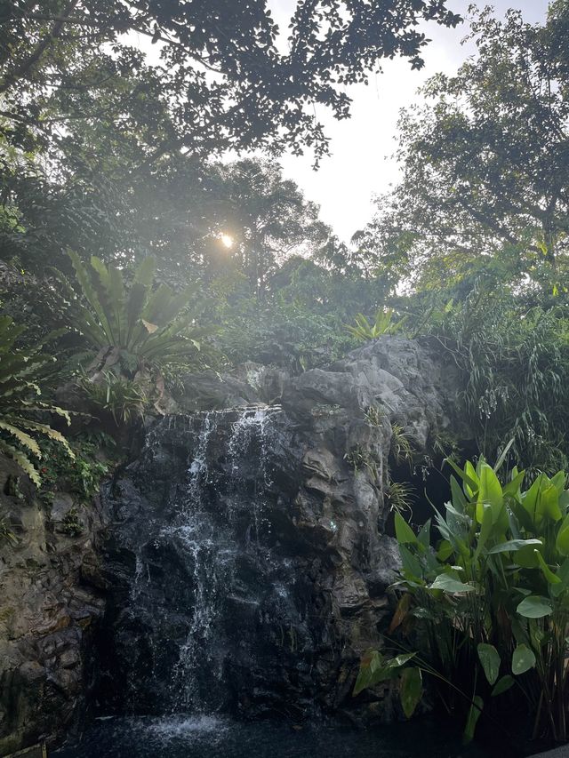 🌿 싱가포르 도심 속에 있는 거대한 자연 [보타닉가든]