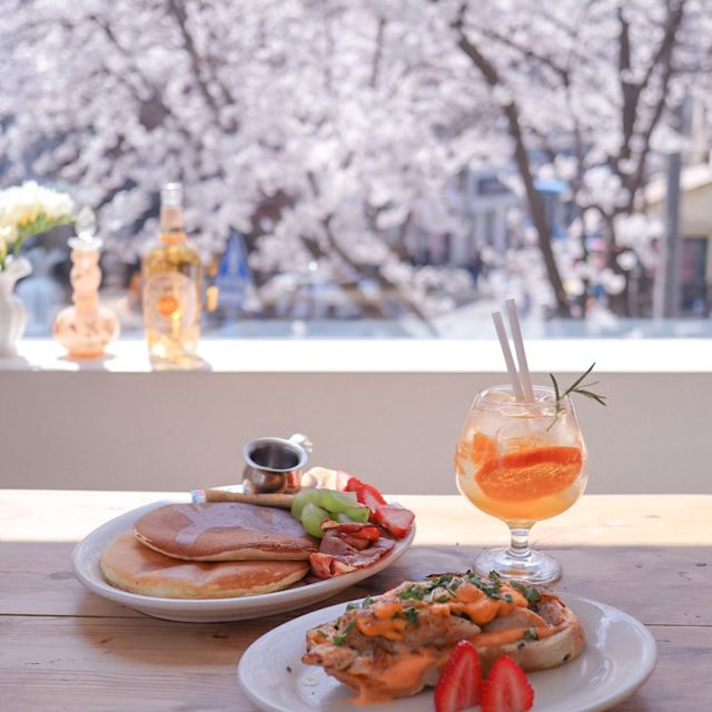 서울에서 현재 가장 예쁜 벚꽃 카페🌸💗