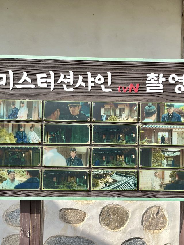 💛서산 유기방가옥 수선화💛
