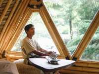 Bali | best place to reconnect with nature and yourself