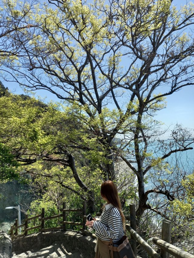 탁트인 오션뷰와 아기자기한 바다마을, 부산 영도 흰여울길