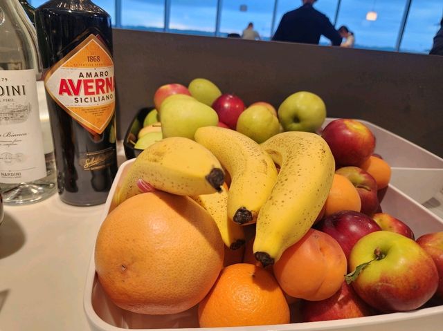 이제는 밀라노와 헤어질 시간.. 말펜사 공항 라운지 " Via Milano Lounge"