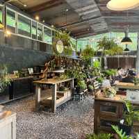 The hidden gem of Taipei Yang Ming Shan