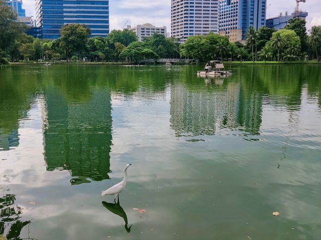 สวนลุมพินี