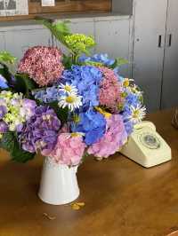 돌아온 수국의 계절💐