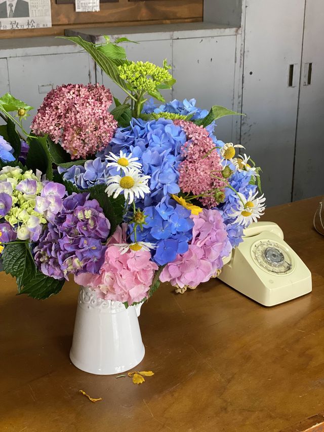 돌아온 수국의 계절💐