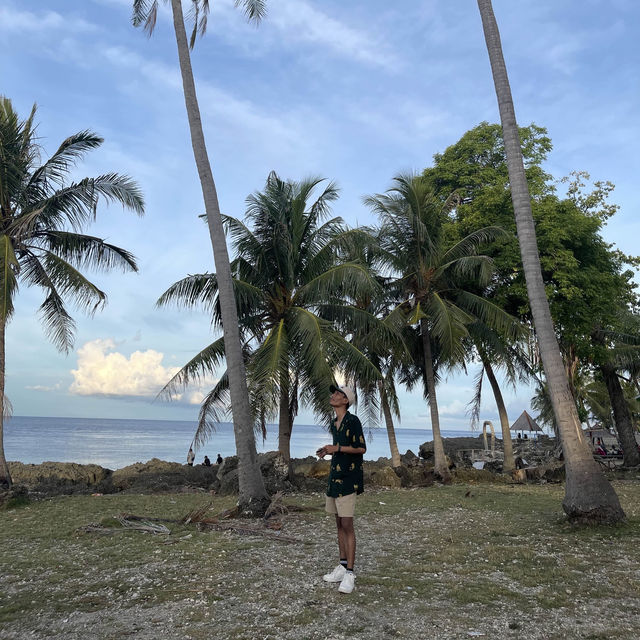 Coconut Garden in Ujong Kareung
