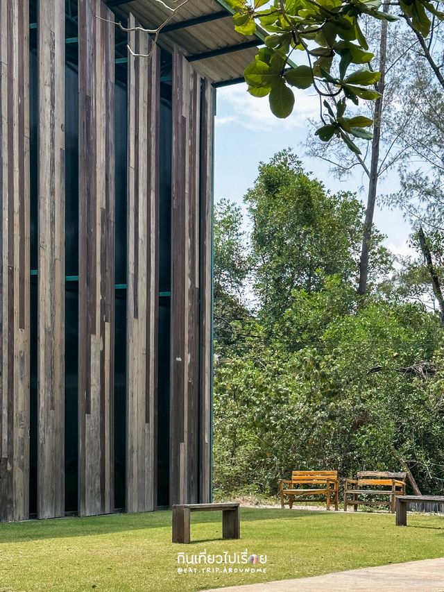 🌳Baanpat - บ้านพัฒก์ คาเฟ่ในตัวเมืองจังหวัดระยอง