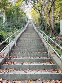 【兵庫県/自凝神社】神話の聖地・淡路島パワースポット