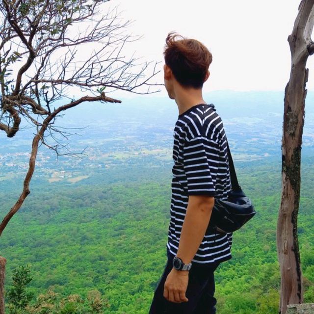 อุทยานแห่งชาติไทรทอง ทุ่งดอกกระเจียว ชัยภูมิ