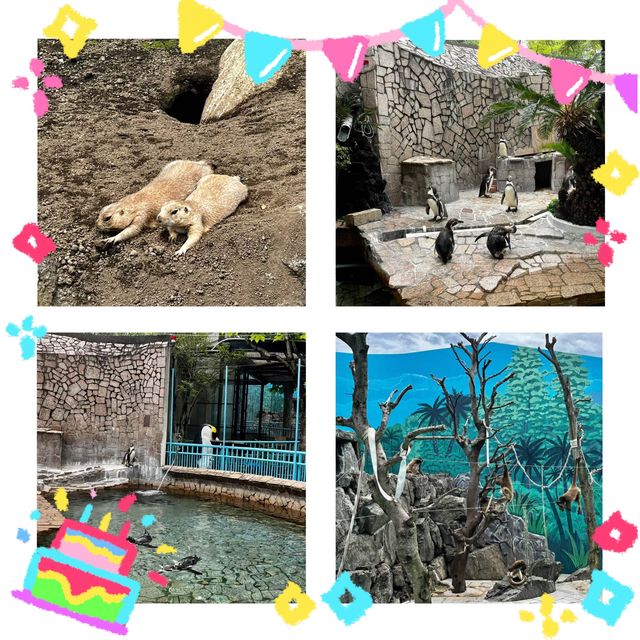 🎨🌍江戶川區自然動物園與動物奇趣😄🐛