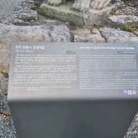 가장오래된 석탑도보고 코스모스,백일홍과 사진도 찍자