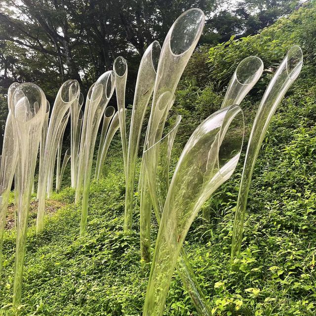 箱根玻璃之森美術館：探索奇幻的🔮玻璃藝術世界！
