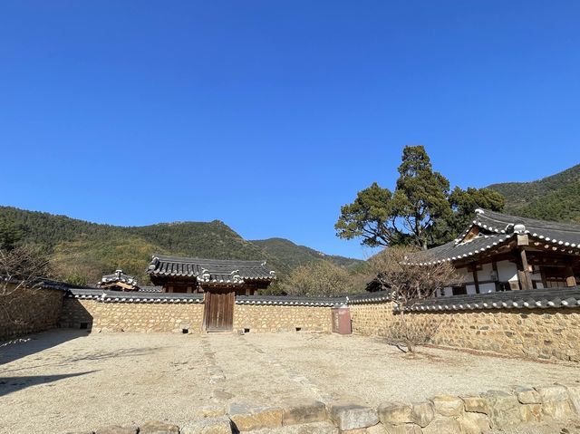 韓國大邱 村口四百年靈槐樹的文化遺產 漆谷村