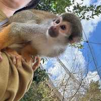 動物さんと触れ合いまくり★長崎バイオパーク