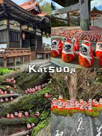 It’a red world 🇯🇵🇯🇵 Katsuoji Temple !!