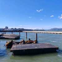 A Visit To Pier 39