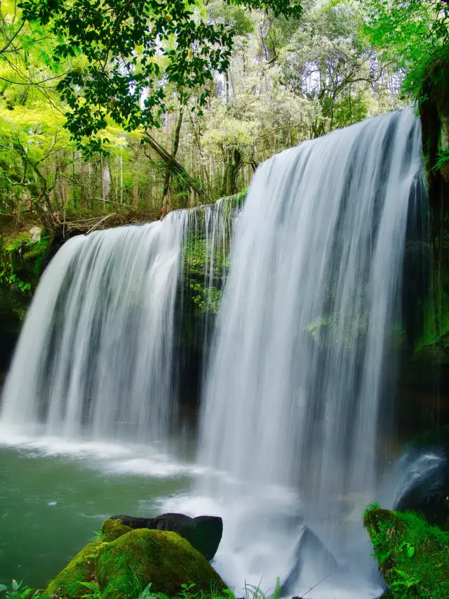 【熊本】滝の中を通れちゃう⁉️マイナスイオンと涼を感じる滝スポットを紹介🔍