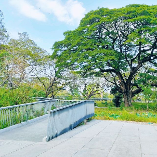 วิธีเดินทางไปสวนเบญจกิติทางรถไฟใต้ดิน