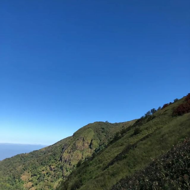 กิ่วเเม่ปาน อินทนนท์⛰️🍃