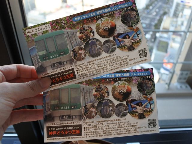 可愛い動物にたくさん会える神戸どうぶつ王国